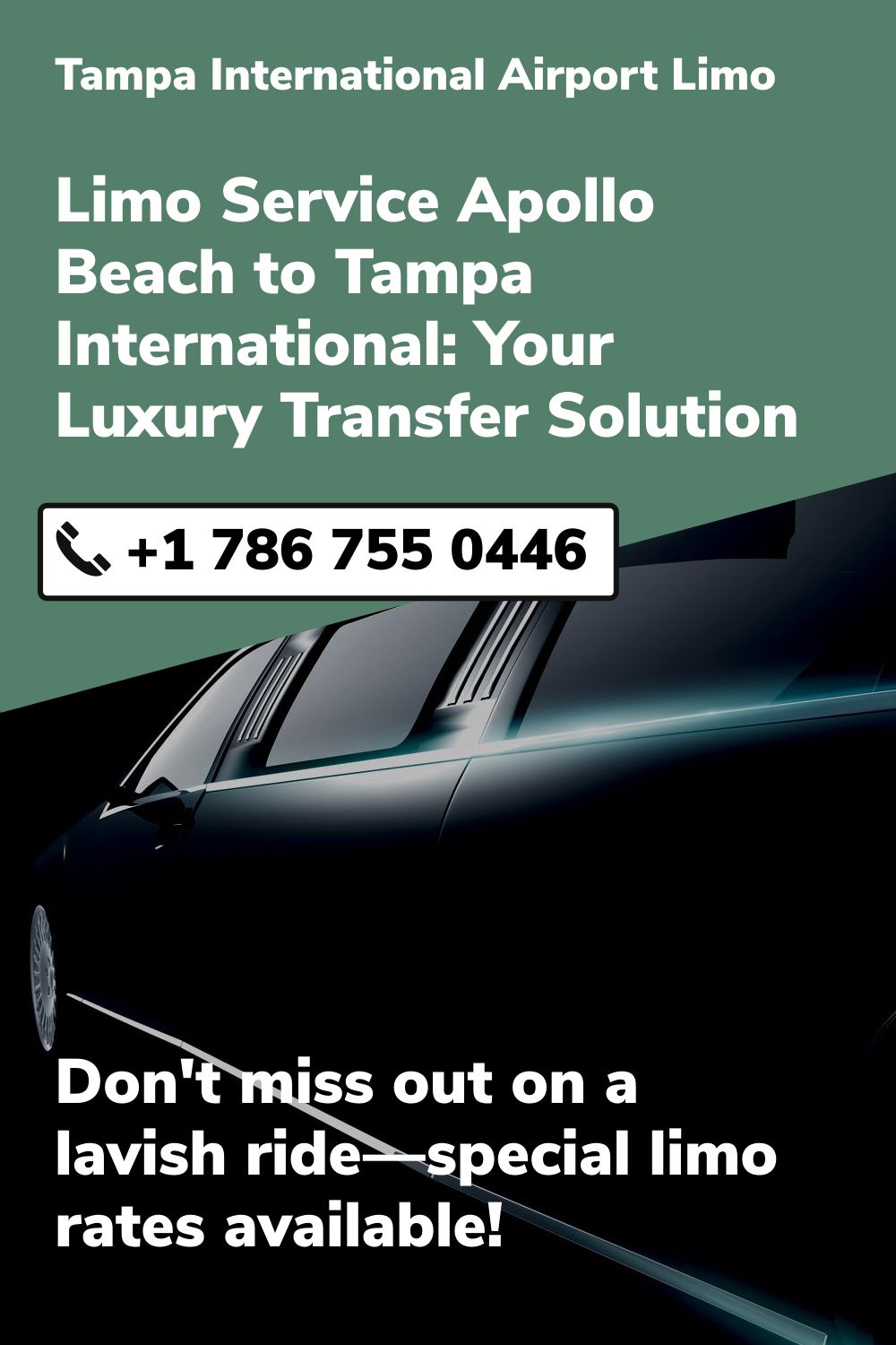 Tampa International  Airport Limo