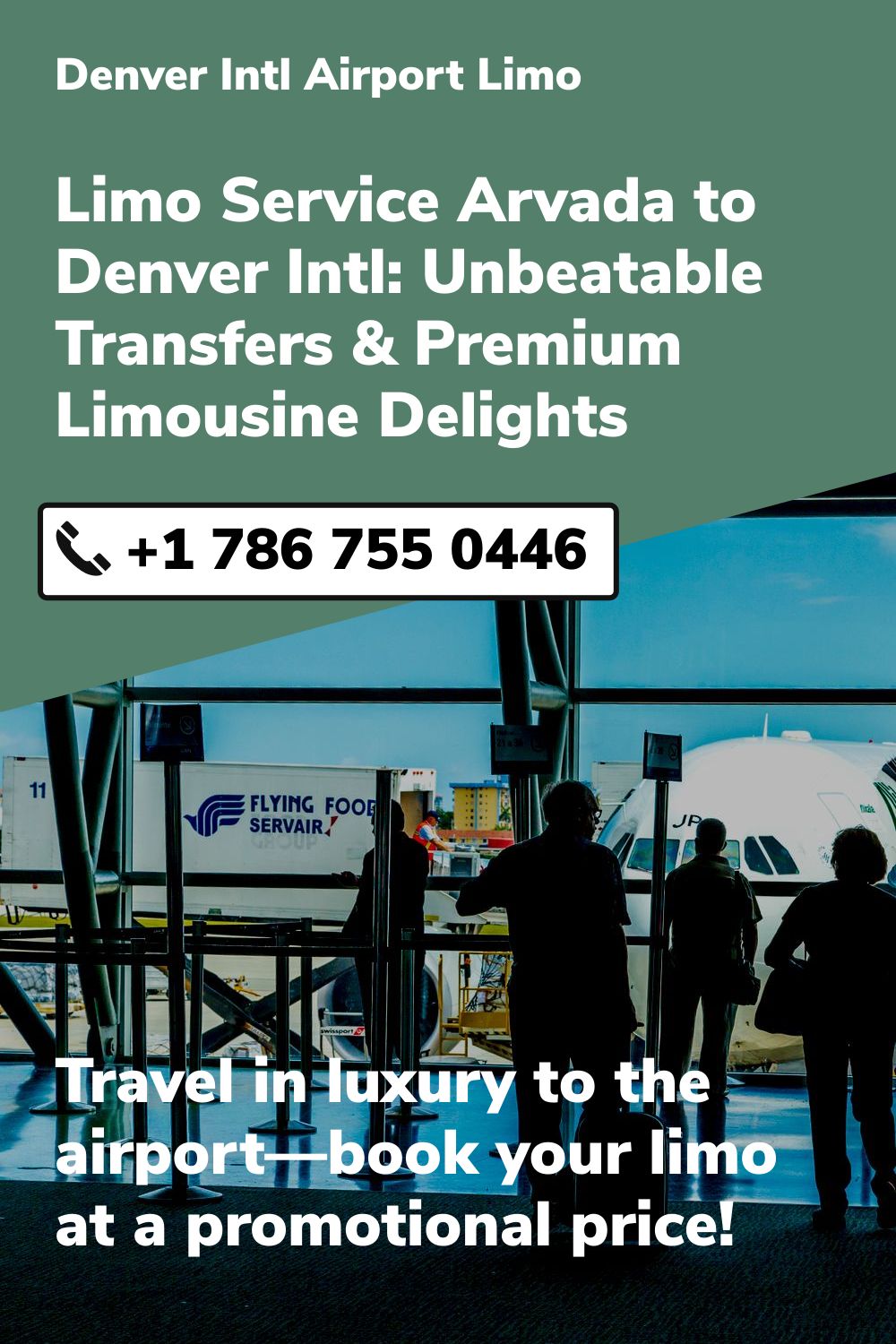 Denver Intl Airport Limo