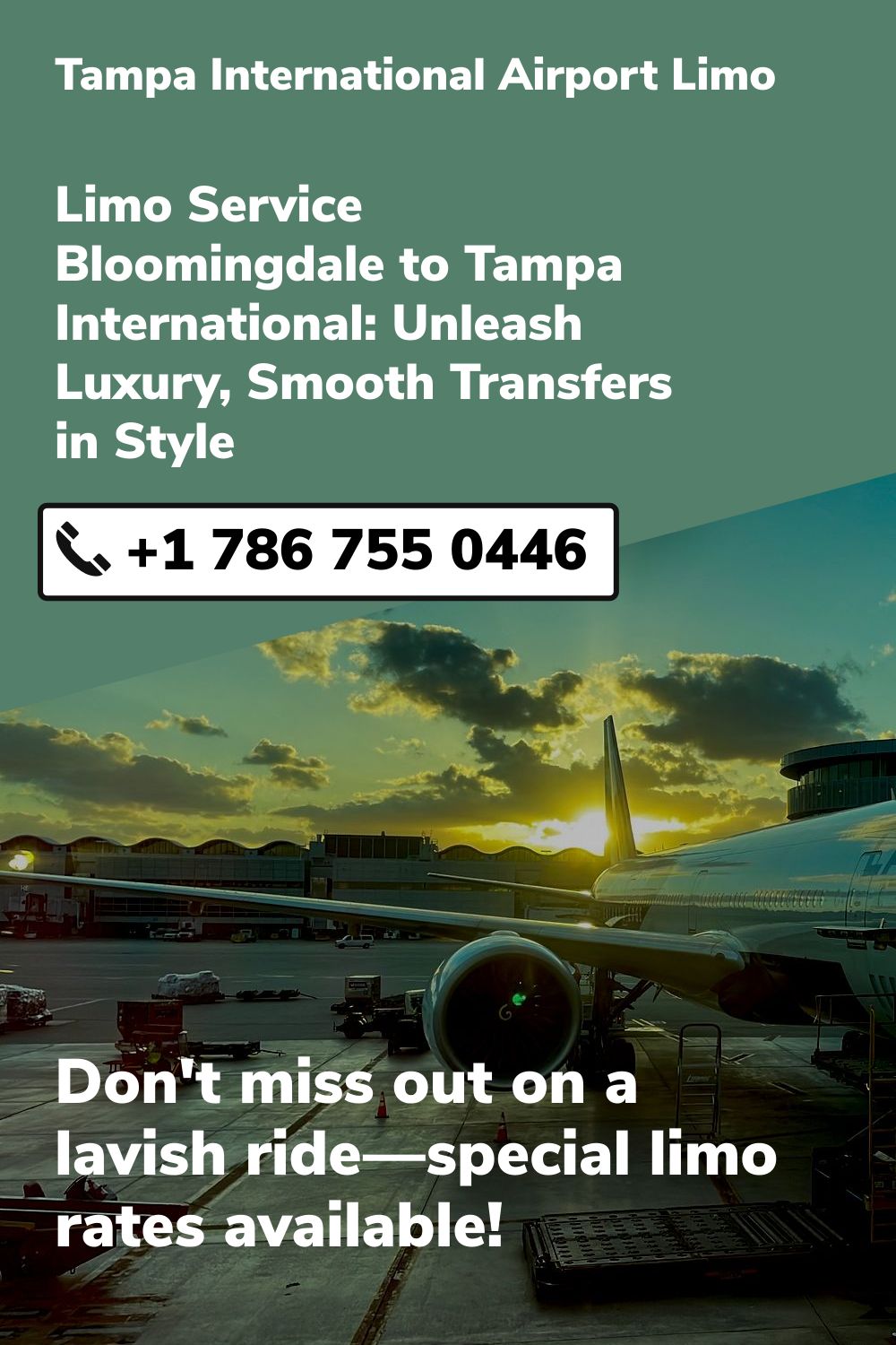 Tampa International  Airport Limo