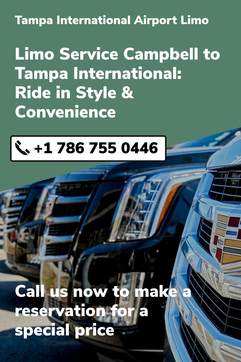 Tampa International  Airport Limo