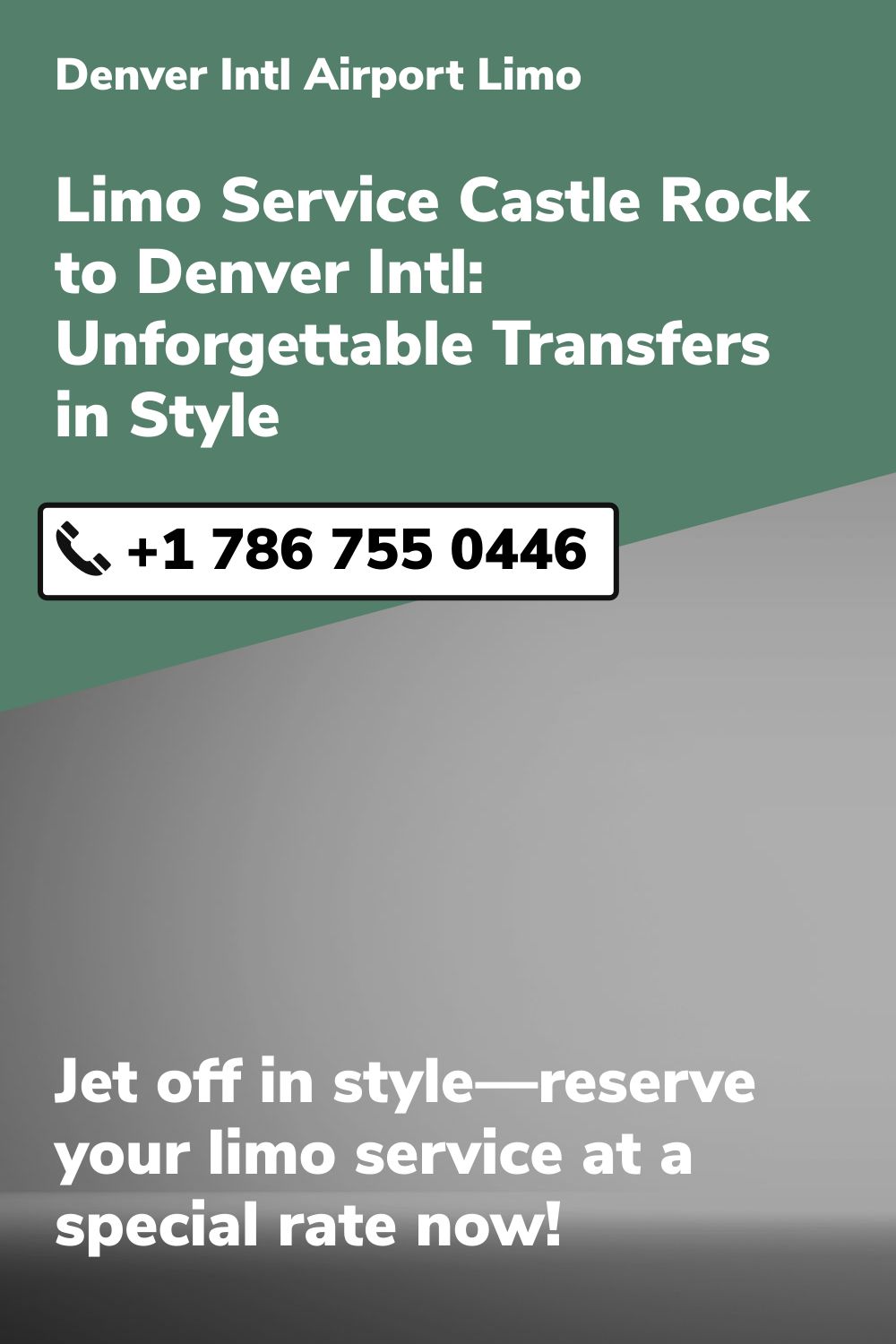 Denver Intl Airport Limo