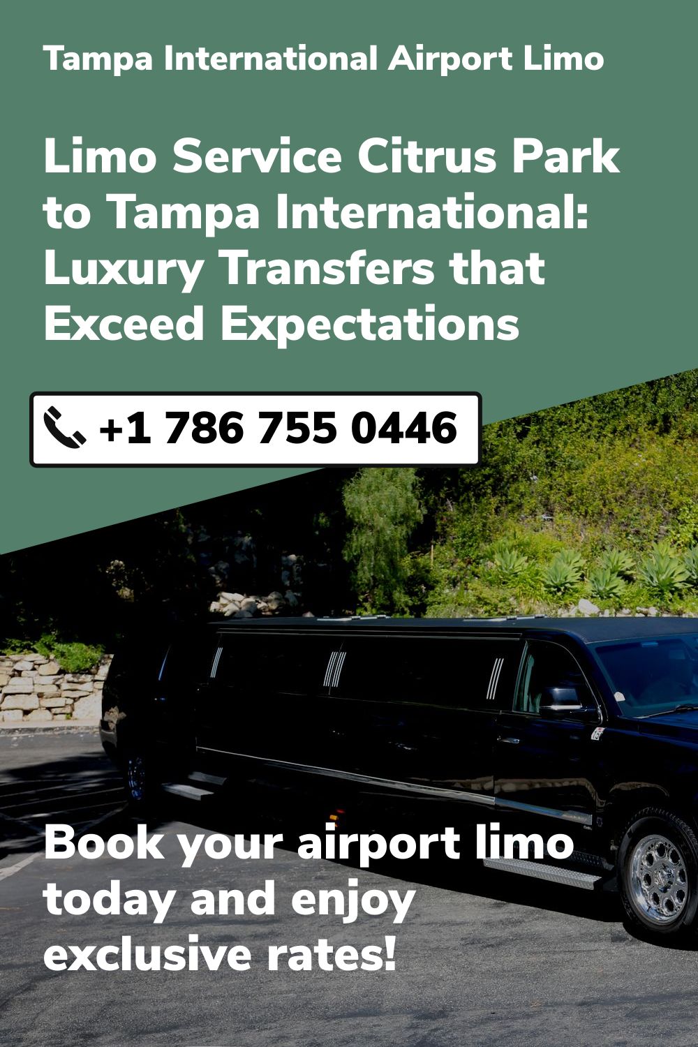 Tampa International  Airport Limo