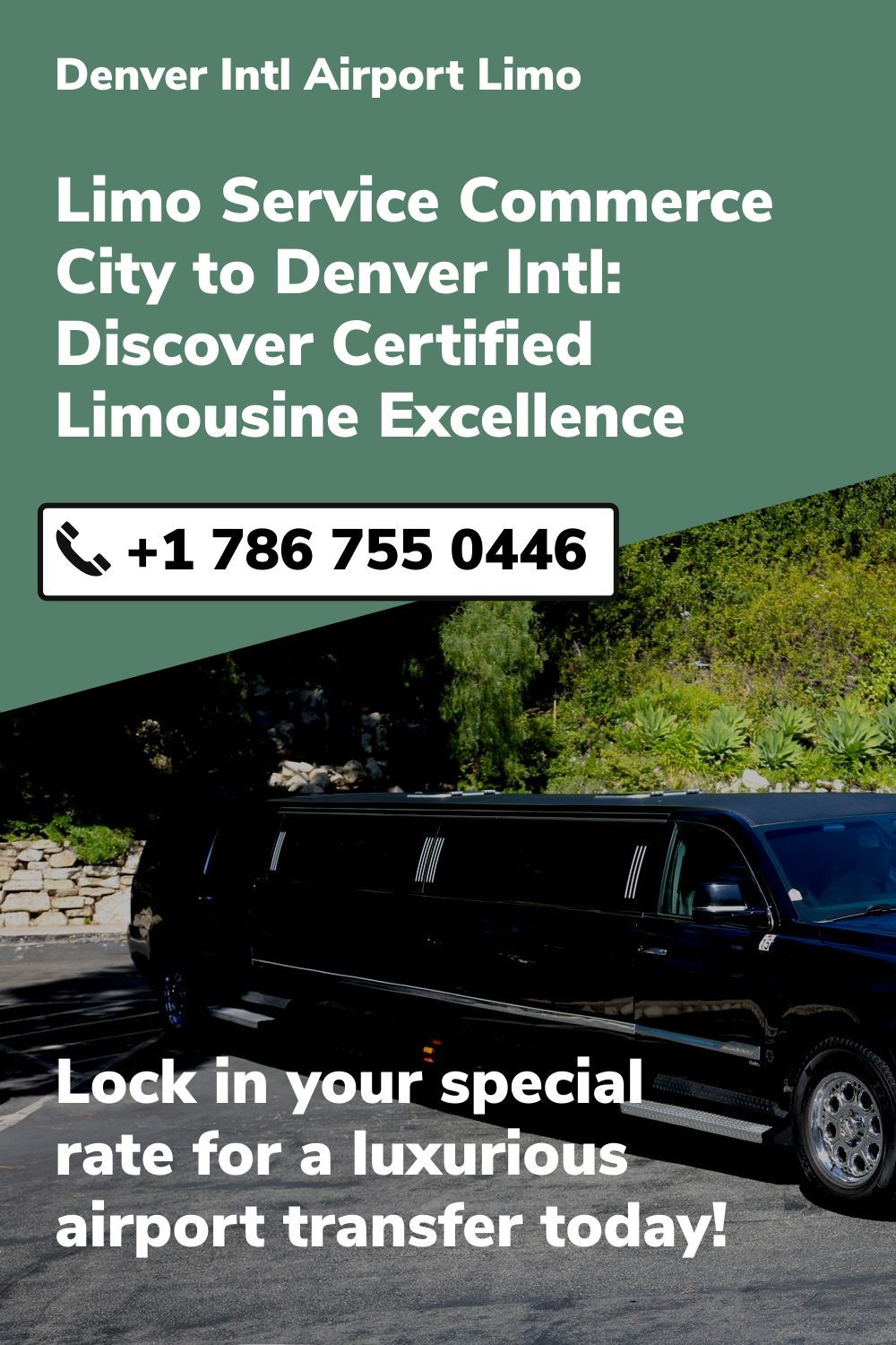 Denver Intl Airport Limo