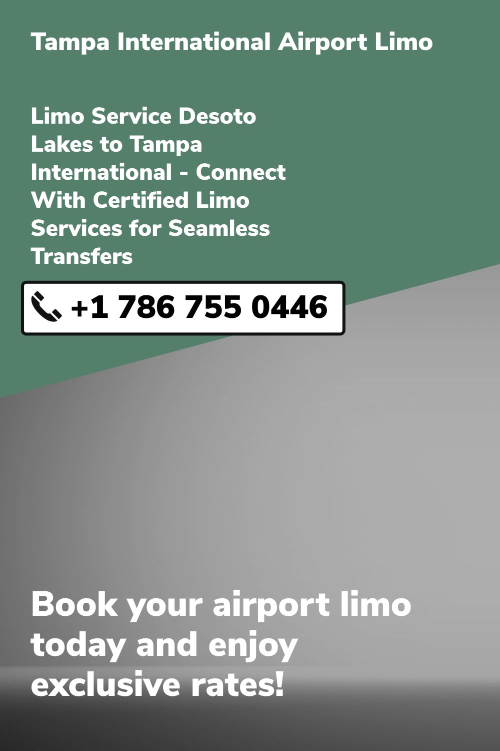 Tampa International  Airport Limo