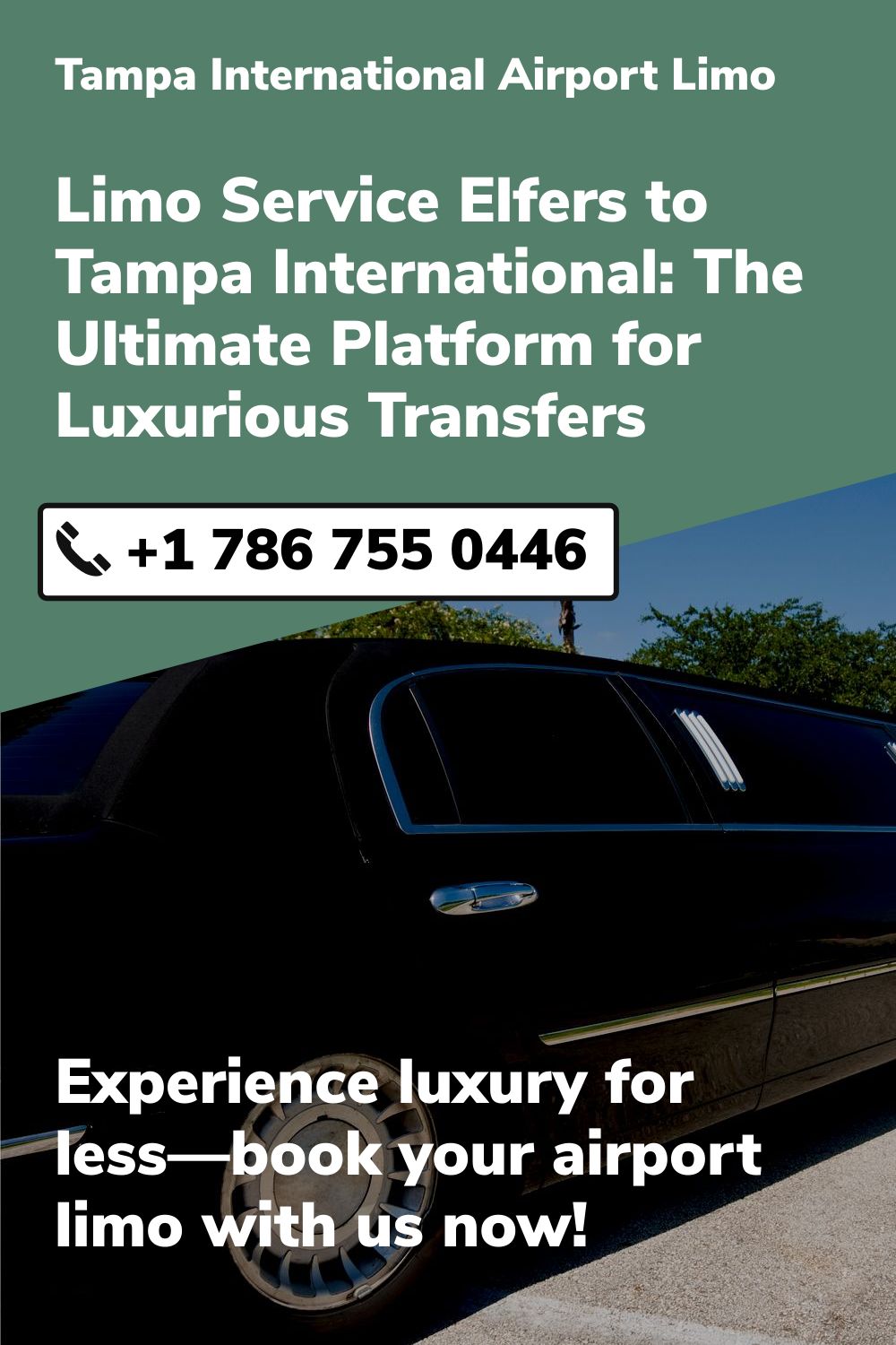 Tampa International  Airport Limo