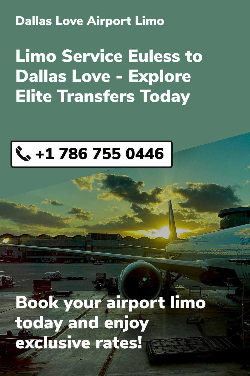 Dallas Love  Airport Limo