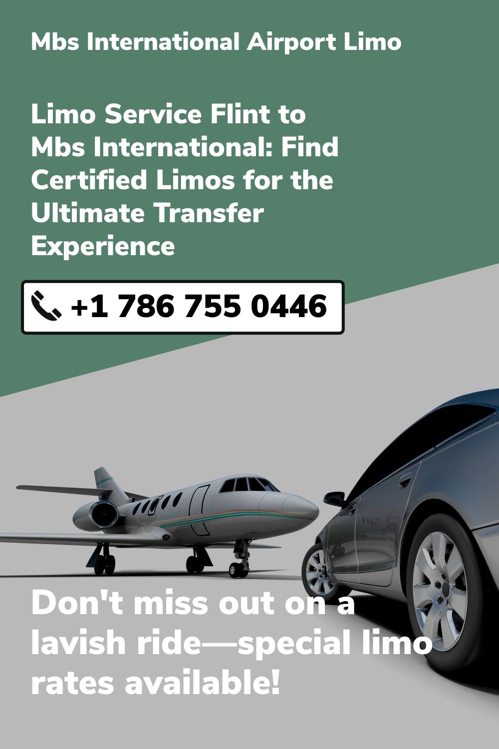 Mbs International Airport Limo