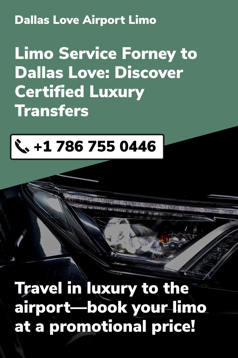 Dallas Love  Airport Limo