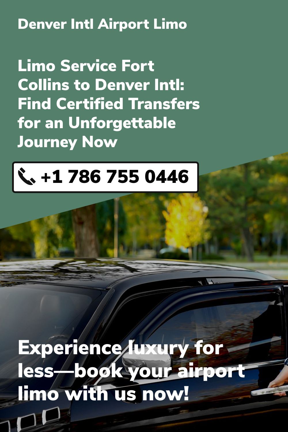 Denver Intl Airport Limo