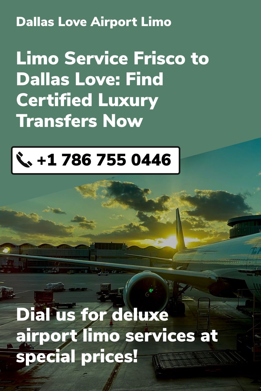 Dallas Love  Airport Limo