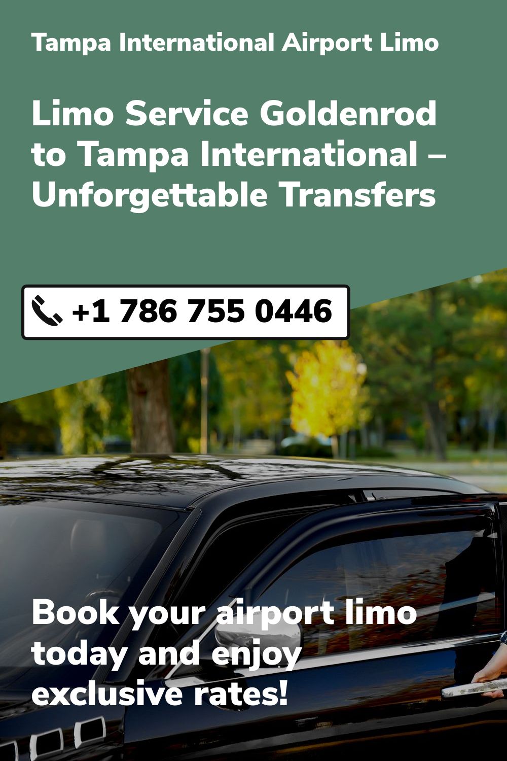 Tampa International  Airport Limo