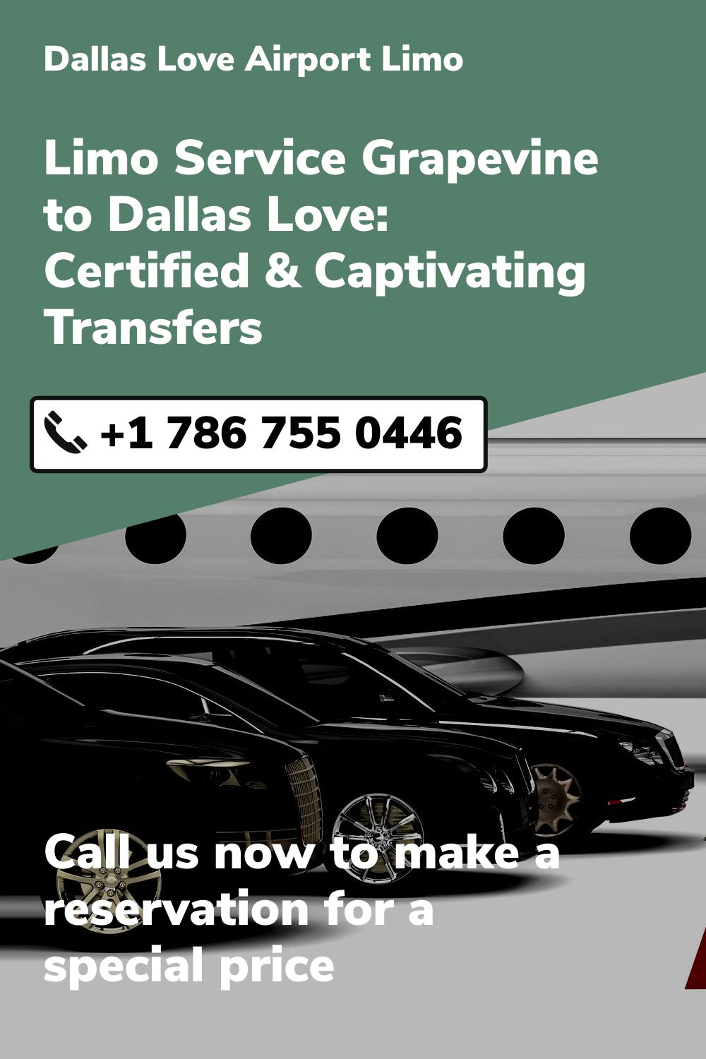 Dallas Love  Airport Limo