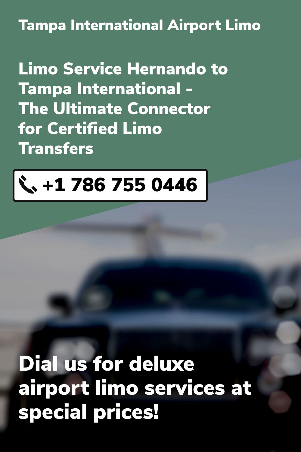 Tampa International  Airport Limo