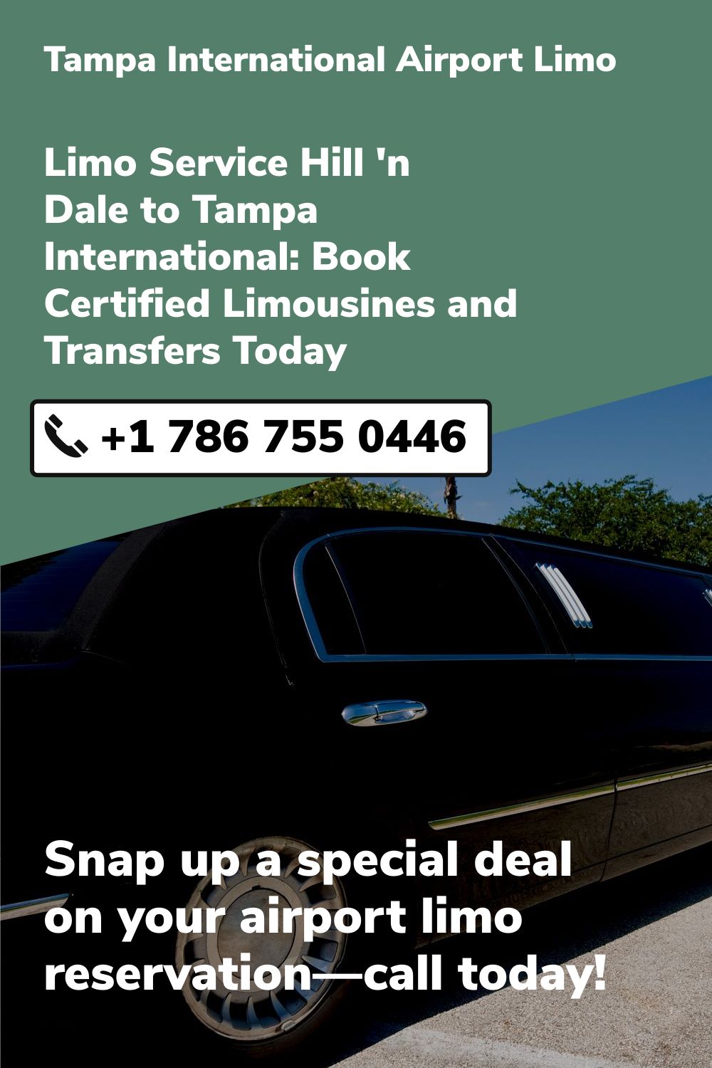 Tampa International  Airport Limo