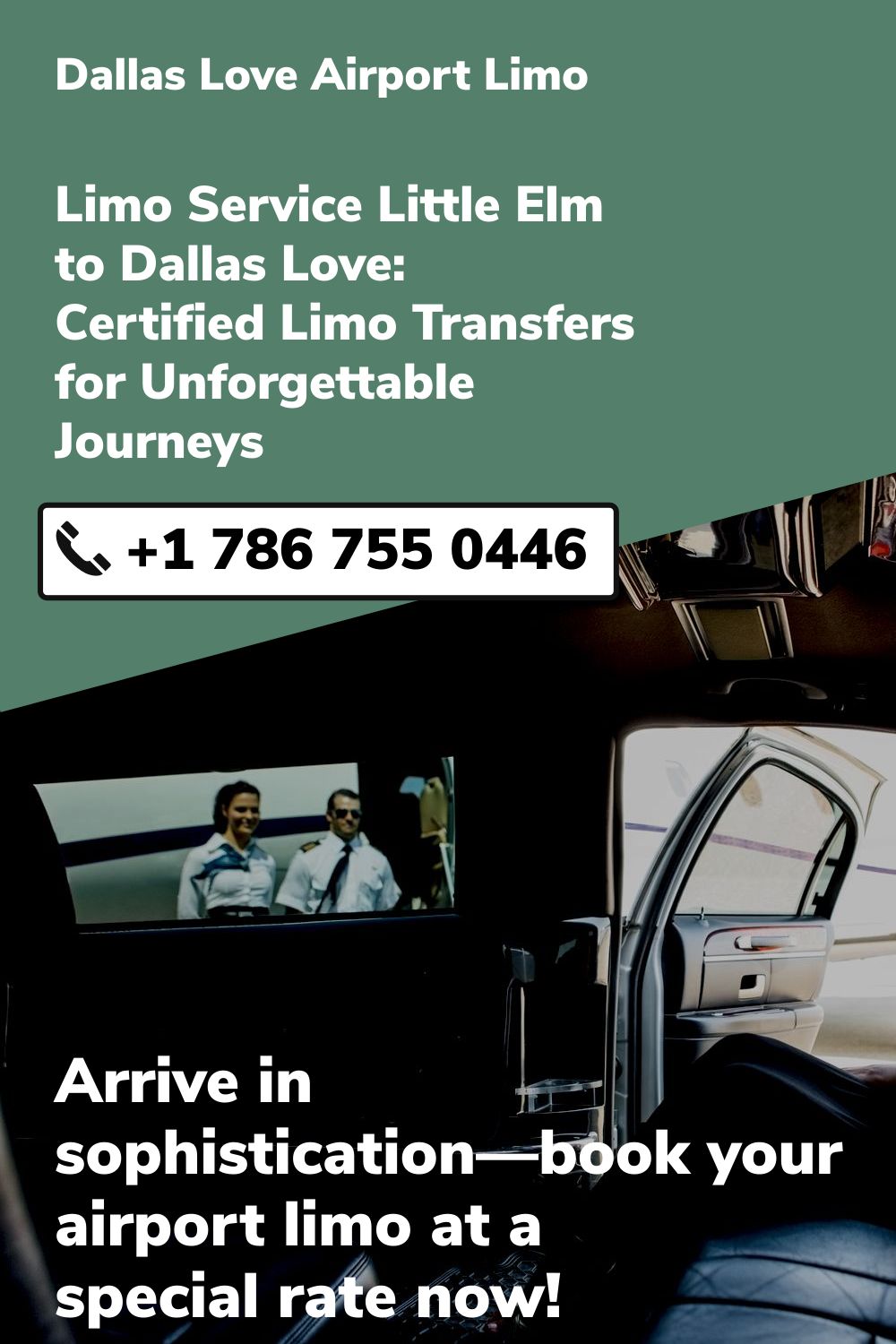 Dallas Love  Airport Limo