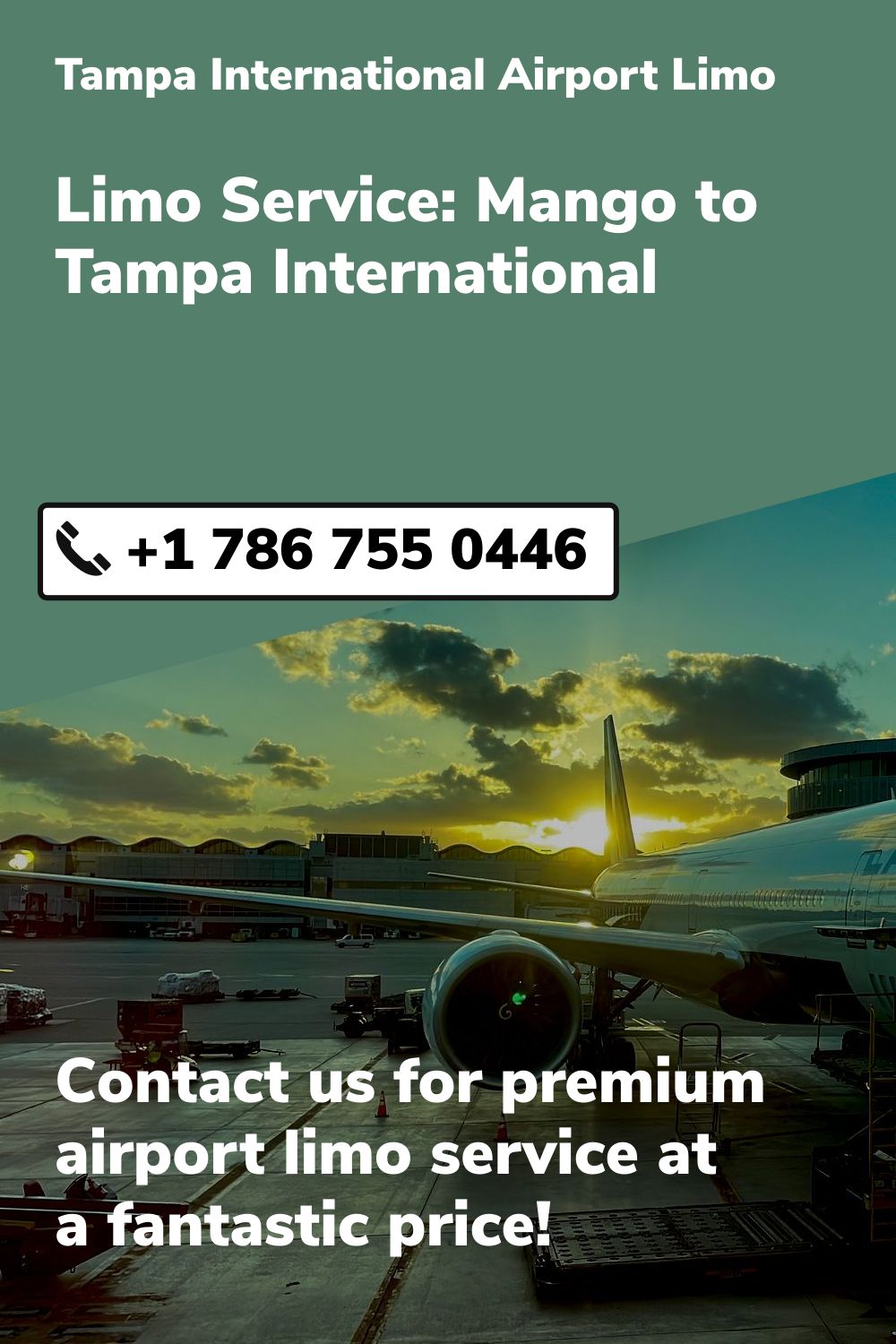 Tampa International  Airport Limo