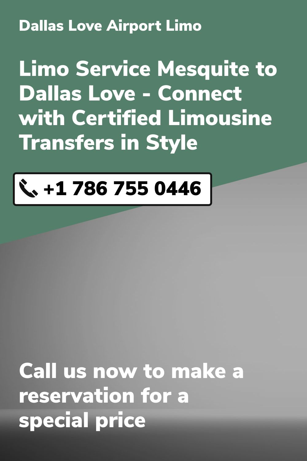 Dallas Love  Airport Limo