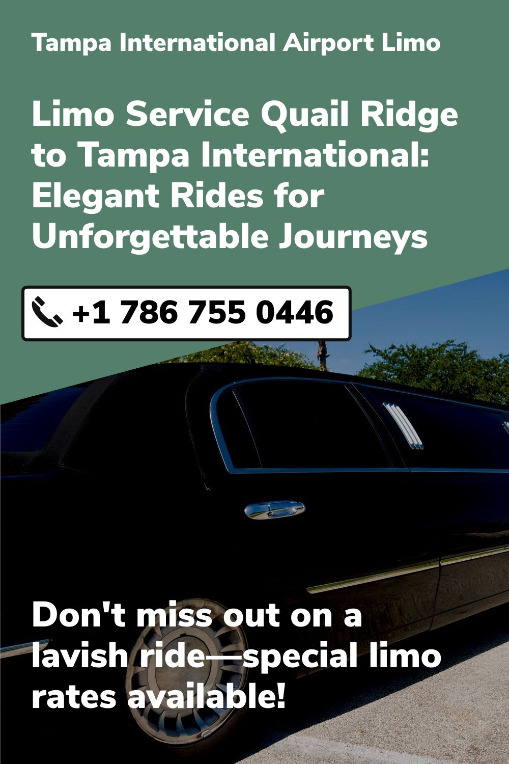 Tampa International  Airport Limo