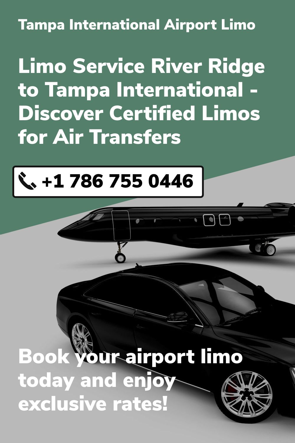 Tampa International  Airport Limo