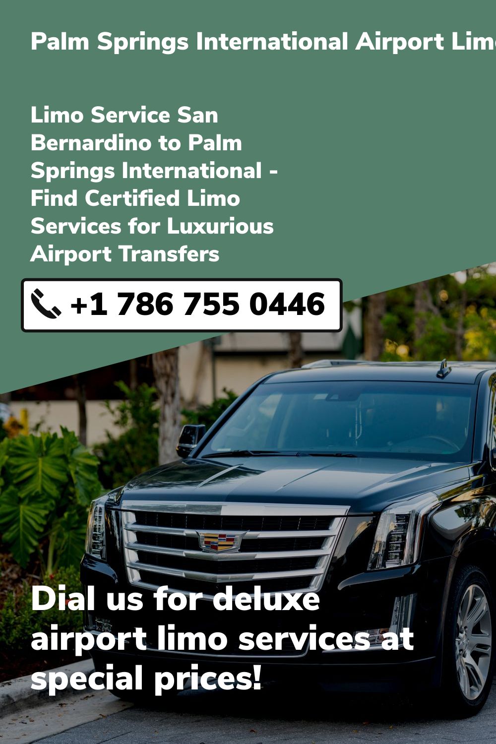 Palm Springs International Airport Limo