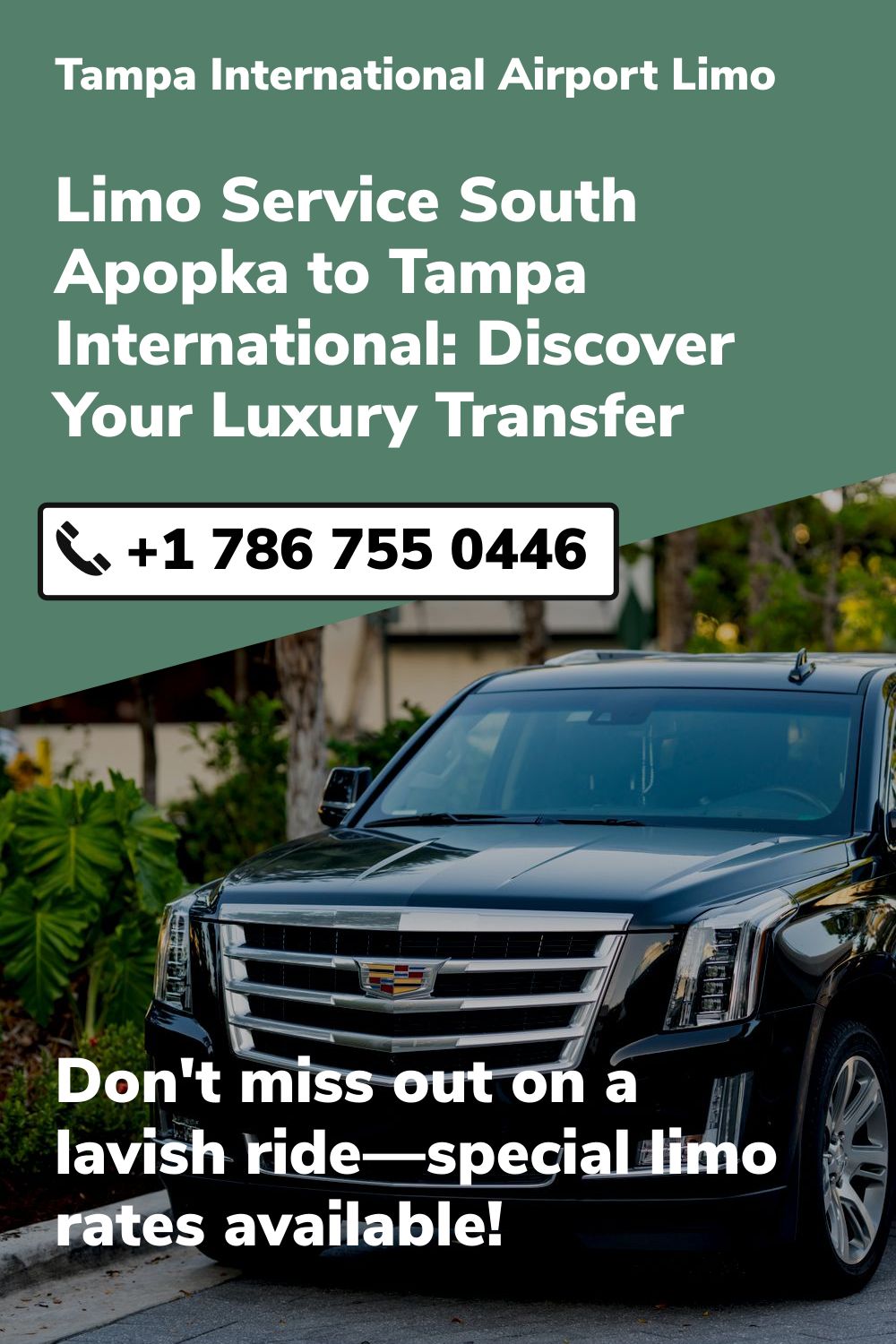 Tampa International  Airport Limo