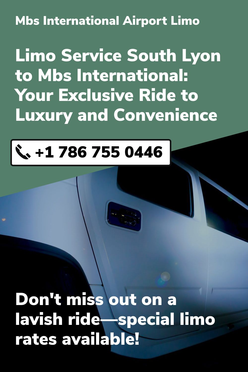 Mbs International Airport Limo