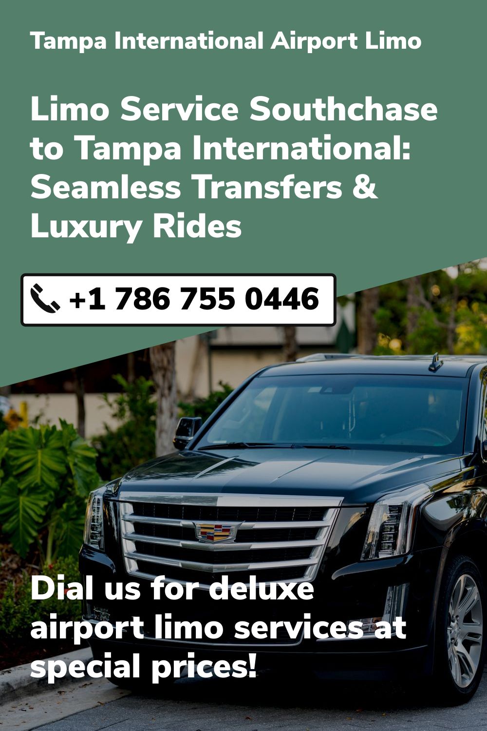 Tampa International  Airport Limo