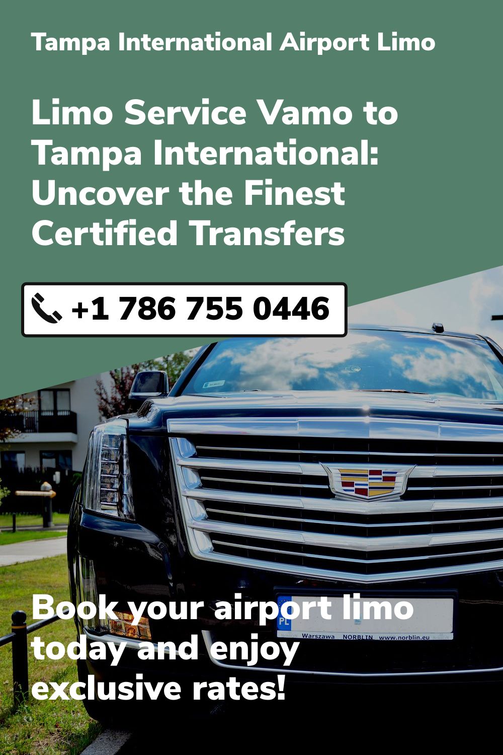 Tampa International  Airport Limo